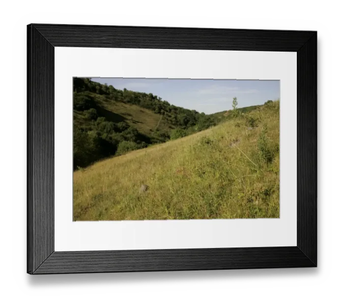 Framed Print : View of limestone dale habitat, Coombes Dale, Peak District, Derbyshire, England, july Framed Print : View of limestone dale habitat, Coombes Dale, Peak District, Derbyshire, England, july