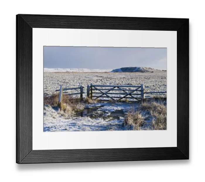 Framed Print : View of gate at edge of snow covered grazing marsh habitat, Kelling Quags, Kelling, Norfolk, England, january Framed Print : View of gate at edge of snow covered grazing marsh habitat, Kelling Quags, Kelling, Norfolk, England, january