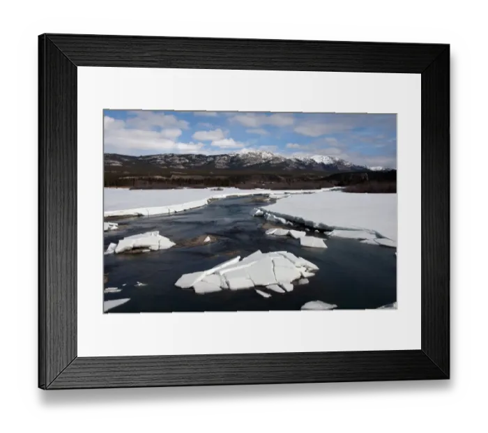 Framed Print : View of melting ice on river during spring breakup, Yukon River, Whitehorse, Yukon, Canada, april Framed Print : View of melting ice on river during spring breakup, Yukon River, Whitehorse, Yukon, Canada, april