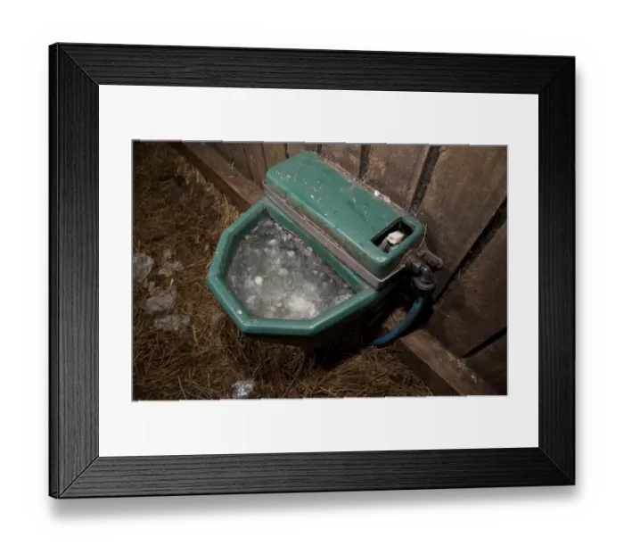 Framed Print : Frozen water drinker in farm building, Chipping, Lancashire, England, december Framed Print : Frozen water drinker in farm building, Chipping, Lancashire, England, december