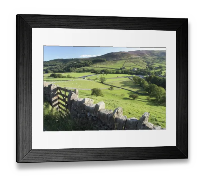Framed Print : View of gate, drystone walls and sheep grazing in pasture of valley, Burnsall, River Wharfe, Burnsall, Wharfedale Framed Print : View of gate, drystone walls and sheep grazing in pasture of valley, Burnsall, River Wharfe, Burnsall, Wharfedale