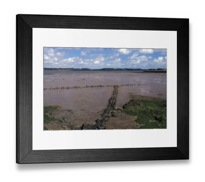 Framed Print : Suffolk The Alde Mudflats at Iken - Suffolk Wildlife Trust Framed Print : Suffolk The Alde Mudflats at Iken - Suffolk Wildlife Trust