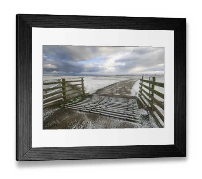 Framed Print : Cattle grid and grazing marsh habitat in snow, Elmley Marshes N. N. R. North Kent Marshes, Isle of Sheppey, Kent Framed Print : Cattle grid and grazing marsh habitat in snow, Elmley Marshes N. N. R. North Kent Marshes, Isle of Sheppey, Kent