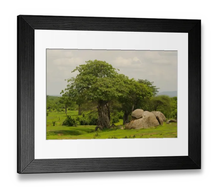 Framed Print : View of trees and rocky outcrop in bush habitat, Ruaha N. P. Tanzania
