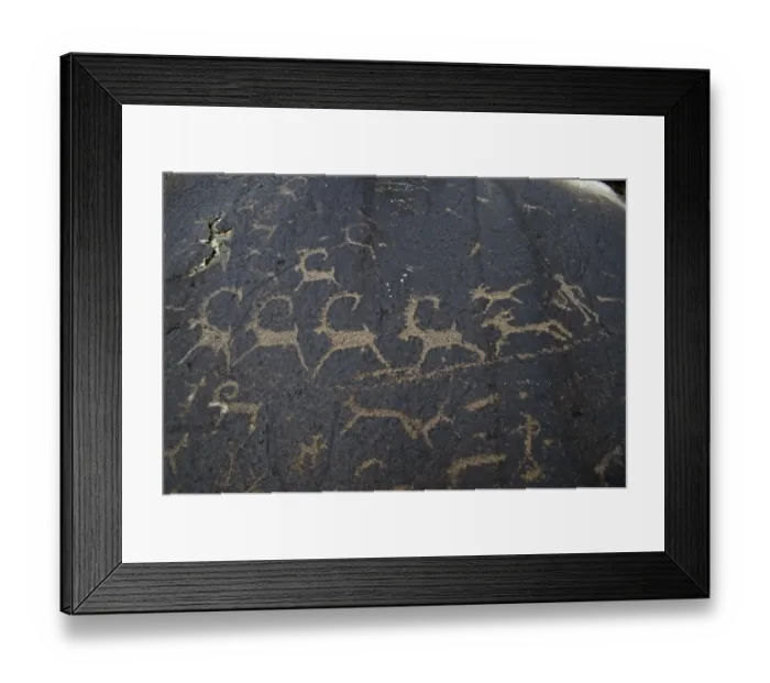 Framed Print : Ancient petroglyphs depicting wolves and humans hunting ibex, circa 400 A. D Framed Print : Ancient petroglyphs depicting wolves and humans hunting ibex, circa 400 A. D