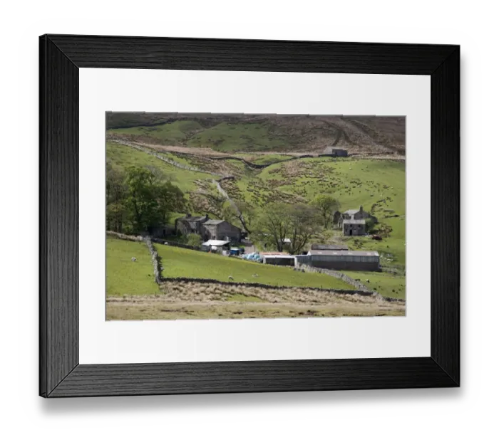 Framed Print : View of upland farm with farmyard, buildings, sheep grazing in pasture and fell habitat, Widdale, North Yorkshire