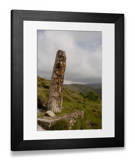 Framed Print : Petrified wood, standing fossilized tree (re-erected), caused by volcanic eruption 20 million years ago Framed Print : Petrified wood, standing fossilized tree (re-erected), caused by volcanic eruption 20 million years ago