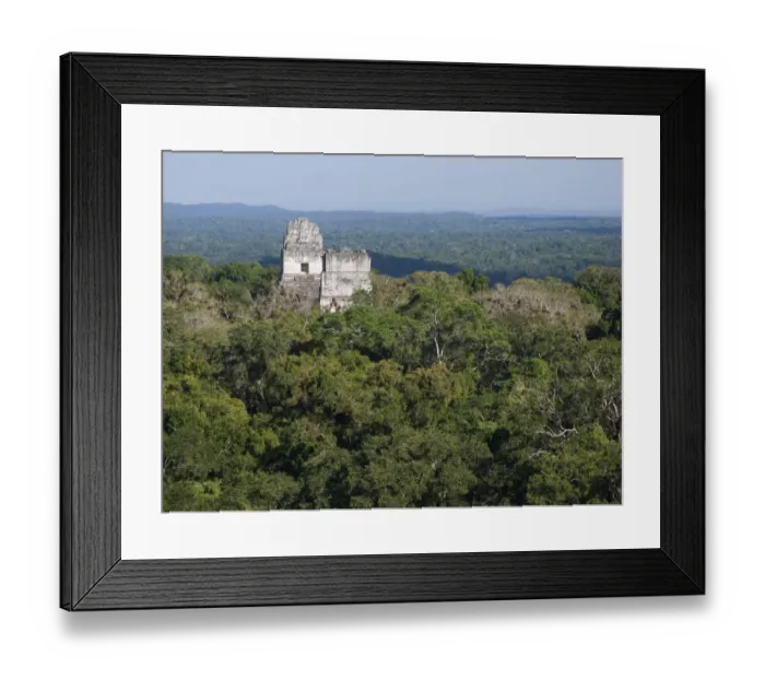Framed Print : View of Mayan ancient ruined city and lowland tropical forest, Tikal N. P. Peten, Guatemala