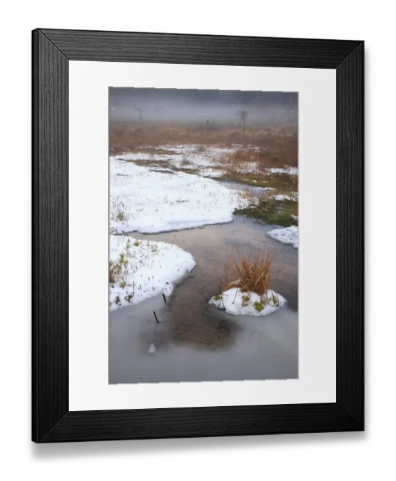 Framed Print : Ice and snow covered heathland pond, Surrey, England, december Framed Print : Ice and snow covered heathland pond, Surrey, England, december
