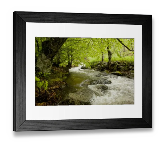 Framed Print : Shady stream flowing through woodland habitat, Pirin N. P. Pirin Mountains, Bulgaria, may Framed Print : Shady stream flowing through woodland habitat, Pirin N. P. Pirin Mountains, Bulgaria, may