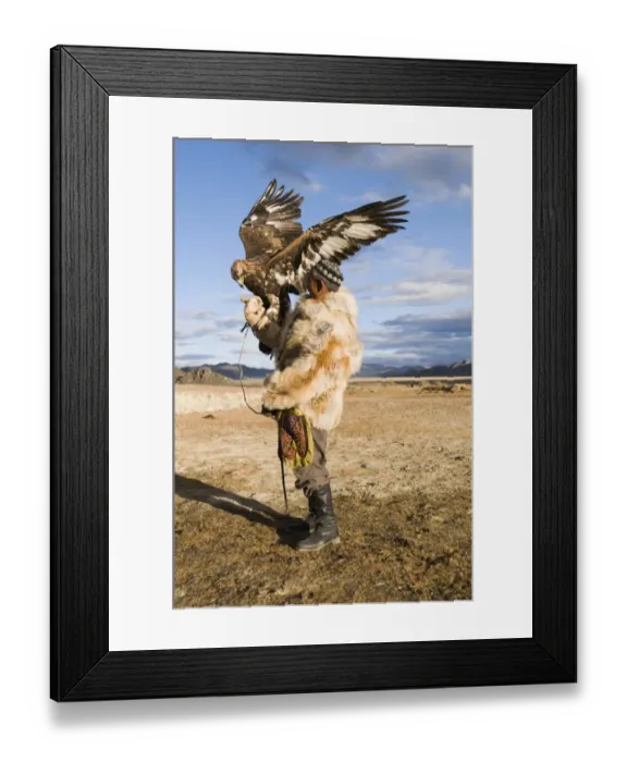 Framed Print : Kazakh hunter with Golden Eagle (Aquila chrysaetos), Altai Mountains, Bayan-Ulgii, Western Mongolia, october Framed Print : Kazakh hunter with Golden Eagle (Aquila chrysaetos), Altai Mountains, Bayan-Ulgii, Western Mongolia, october