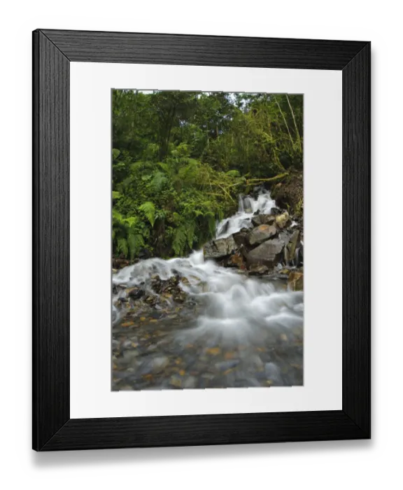 Framed Print : Stream with cascades in mountain rainforest habitat, Peruvian Andes, Peru