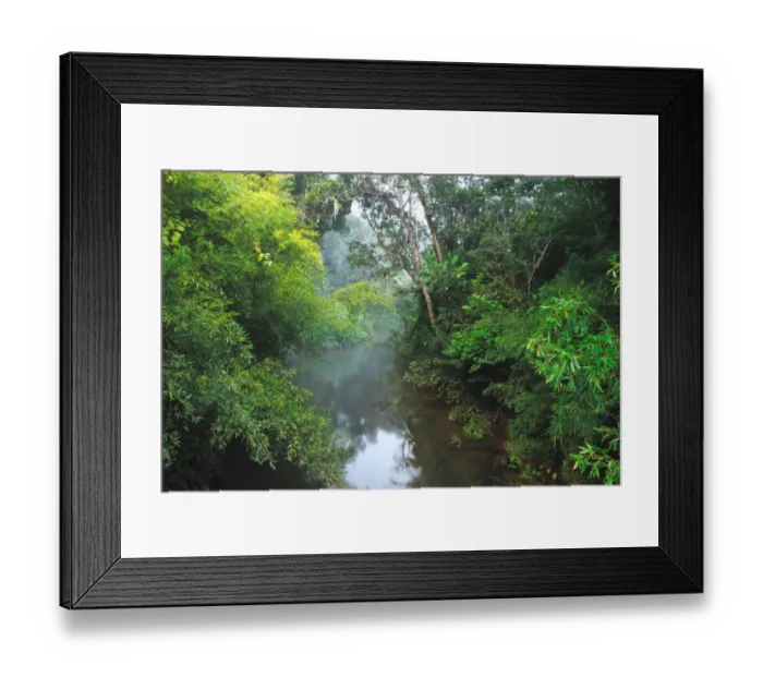 Framed Print : View of river in primary rainforest habitat, Andasibe-Mantadia N. P. Eastern Madagascar, august Framed Print : View of river in primary rainforest habitat, Andasibe-Mantadia N. P. Eastern Madagascar, august