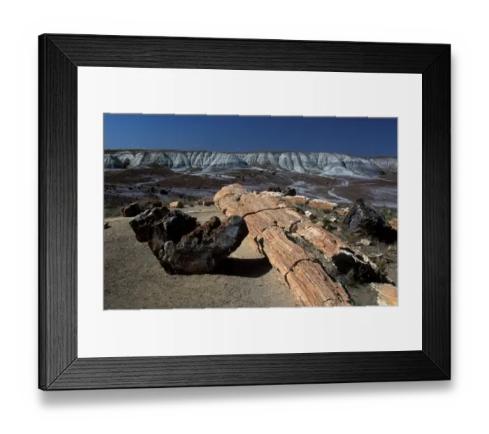 Framed Print : America North USA Arizona. Fossilized Wood in the Painted Desert, Arizona, USA Framed Print : America North USA Arizona. Fossilized Wood in the Painted Desert, Arizona, USA