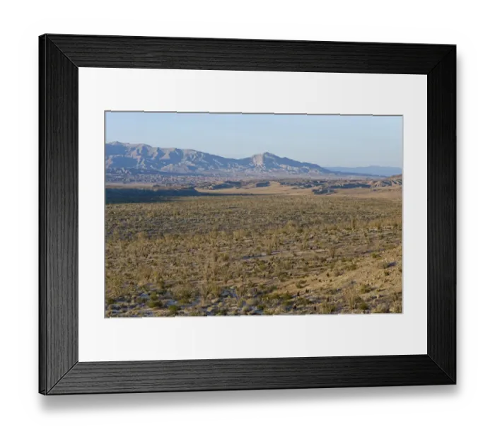 Framed Print : View of desert habitat, Anza-borrego Desert State Park, California, U. S. A. april Framed Print : View of desert habitat, Anza-borrego Desert State Park, California, U. S. A. april