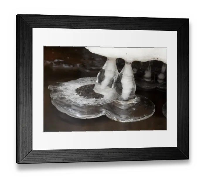 Framed Print : Ice formations in stream, Wyming Brook, Sheffield, South Yorkshire, England, december Framed Print : Ice formations in stream, Wyming Brook, Sheffield, South Yorkshire, England, december