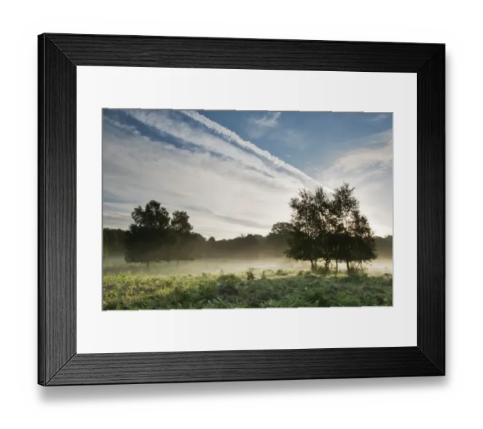 Framed Print : View of lowland heathland habitat at dawn, Hothfield Heathlands, Kent, England, august Framed Print : View of lowland heathland habitat at dawn, Hothfield Heathlands, Kent, England, august