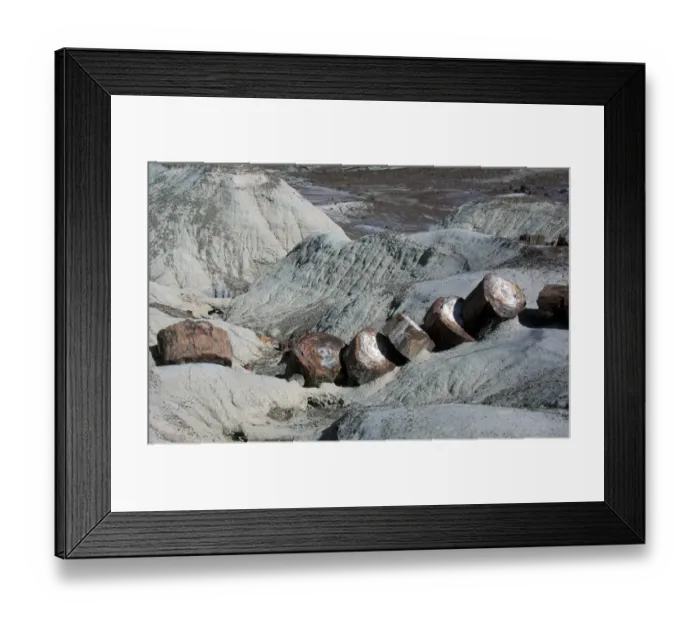 Framed Print : America North USA Arizona. Fossilized Wood in the Painted Desert, Arizona, USA Framed Print : America North USA Arizona. Fossilized Wood in the Painted Desert, Arizona, USA