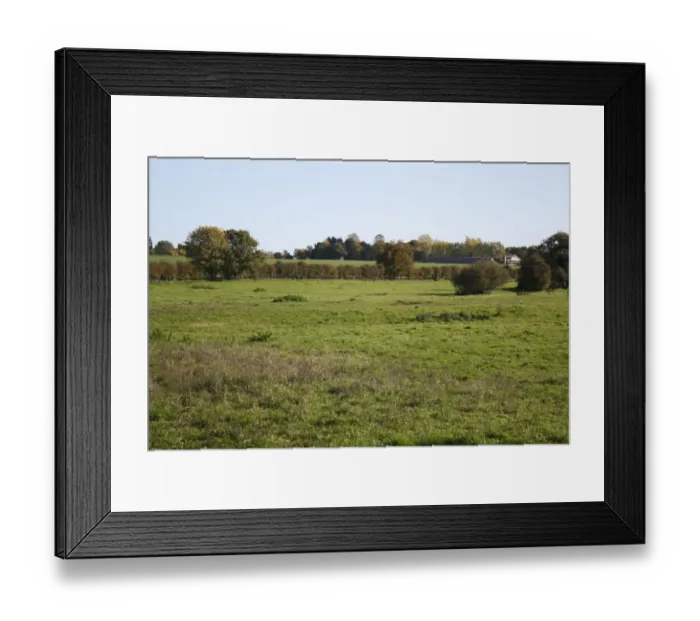 Framed Print : View of rough pasture, Roydon, Waveney Valley, Norfolk, England, october Framed Print : View of rough pasture, Roydon, Waveney Valley, Norfolk, England, october