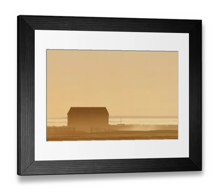 Framed Print : Barn silhouetted on grazing marsh at sunrise, Elmley Marshes N. N. R. North Kent Marshes, Isle of Sheppey, Kent, England Framed Print : Barn silhouetted on grazing marsh at sunrise, Elmley Marshes N. N. R. North Kent Marshes, Isle of Sheppey, Kent, England