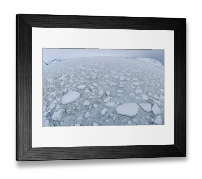 Framed Print : Brash ice at sea, Lemaire Channel, Antarctic Peninsula, Antarctica, november Framed Print : Brash ice at sea, Lemaire Channel, Antarctic Peninsula, Antarctica, november