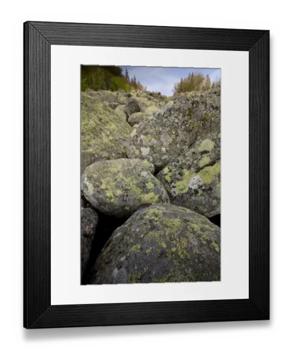 Framed Print : Granite boulders in stone run, peculiar geomorphological phenomenon formed from granite in periglacial conditions Framed Print : Granite boulders in stone run, peculiar geomorphological phenomenon formed from granite in periglacial conditions