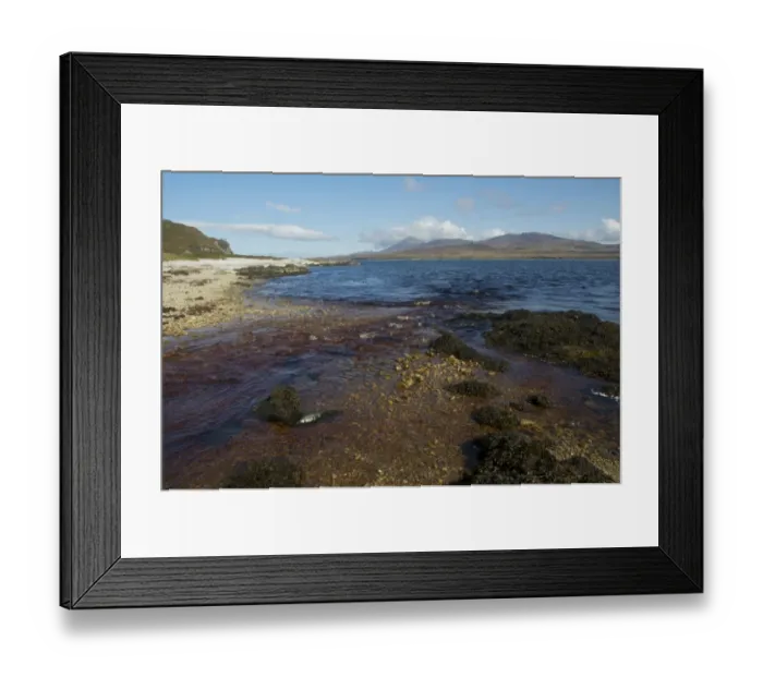 Framed Print : Peat stained river flowing into coastal strait, Glen Logan, Islay Sound, Islay, Inner Hebrides, Scotland, september Framed Print : Peat stained river flowing into coastal strait, Glen Logan, Islay Sound, Islay, Inner Hebrides, Scotland, september