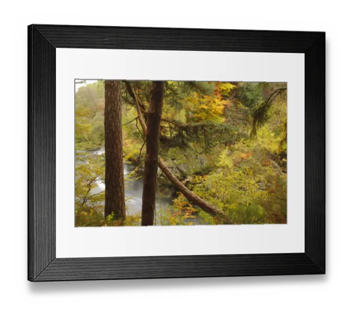 Framed Print : Mixed woodland habitat in river gorge, Rocks of Solitude, River North Esk, near Edzell, Angus, Scotland, october Framed Print : Mixed woodland habitat in river gorge, Rocks of Solitude, River North Esk, near Edzell, Angus, Scotland, october