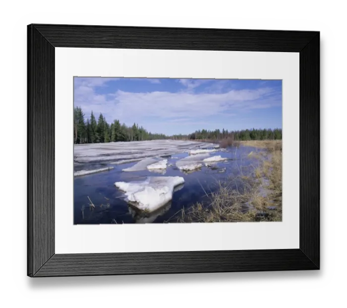 Framed Print : Ice on frozen river thawing and breaking up, near Rovaniemi, Finnish Lapland, Finland, early spring Framed Print : Ice on frozen river thawing and breaking up, near Rovaniemi, Finnish Lapland, Finland, early spring