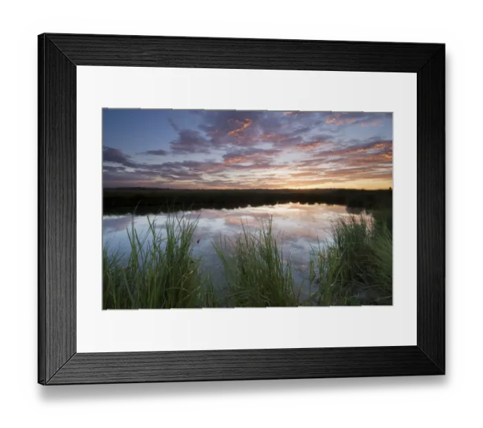 Framed Print : View of flooded grazing marsh at sunrise, Elmley Marshes N. N. R. North Kent Marshes, Isle of Sheppey, Kent, England Framed Print : View of flooded grazing marsh at sunrise, Elmley Marshes N. N. R. North Kent Marshes, Isle of Sheppey, Kent, England