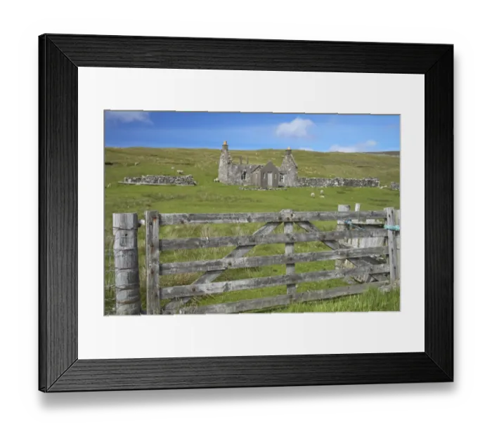 Framed Print : Wooden gate and sheep grazing beside derelict croft, West Mainland, Shetland Islands, Scotland Framed Print : Wooden gate and sheep grazing beside derelict croft, West Mainland, Shetland Islands, Scotland