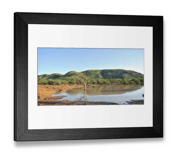 Framed Print : View of waterhole and lowveld habitat, Pilanesberg N. P. North West Province, South Africa Framed Print : View of waterhole and lowveld habitat, Pilanesberg N. P. North West Province, South Africa