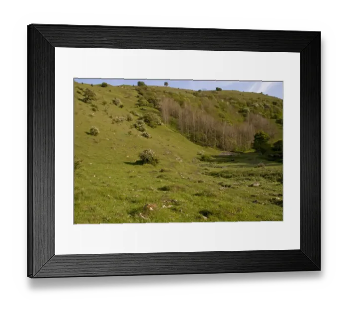 Framed Print : View of limestone dale habitat, Cressbrook Dale, Derbyshire Dales N. N. R. White Peak, Peak District N. P Framed Print : View of limestone dale habitat, Cressbrook Dale, Derbyshire Dales N. N. R. White Peak, Peak District N. P