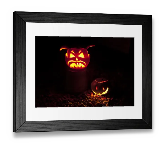 Framed Print : Pumpkin (Cucurbita sp. ) Jack O Lantern, two lit at night, Halloween custom, Clitheroe, Lancashire, England, november Framed Print : Pumpkin (Cucurbita sp. ) Jack O Lantern, two lit at night, Halloween custom, Clitheroe, Lancashire, England, november