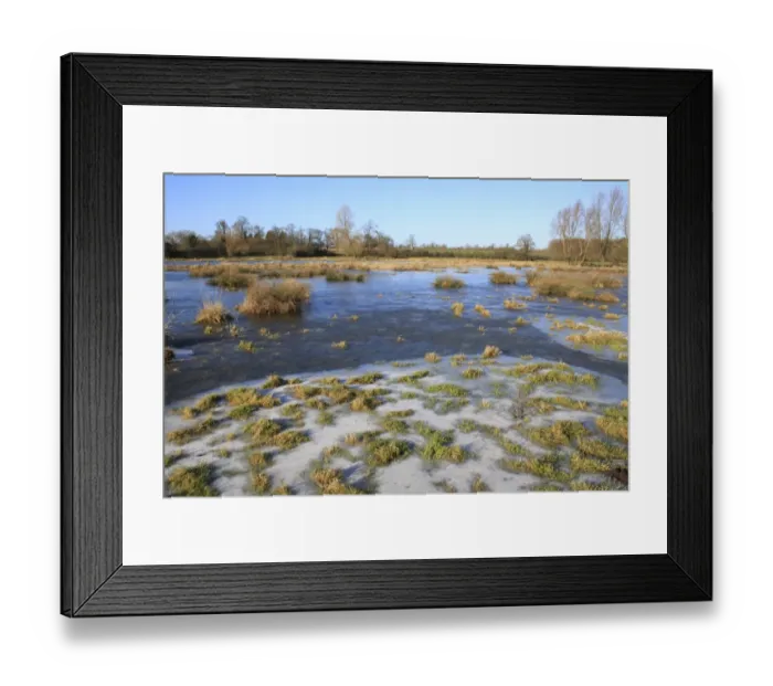 Framed Print : Flooded and frozen unimproved wet grazing meadow, River Dove, Thornham Magna, Suffolk, England, january Framed Print : Flooded and frozen unimproved wet grazing meadow, River Dove, Thornham Magna, Suffolk, England, january