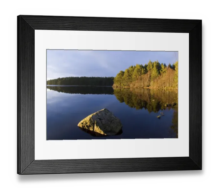 Framed Print : View of freshwater loch and pine forest habitat, Loch Garten, Abernethy Forest, Strathspey, Cairngorm N. P Framed Print : View of freshwater loch and pine forest habitat, Loch Garten, Abernethy Forest, Strathspey, Cairngorm N. P