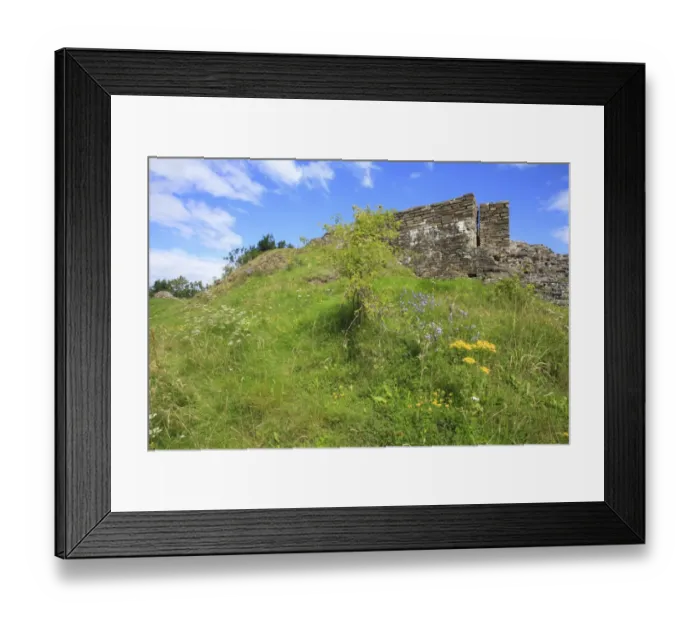 Framed Print : Wildflowers growing on slope amongst ruins of castle, Dolforwyn Castle, Powys, Wales, august Framed Print : Wildflowers growing on slope amongst ruins of castle, Dolforwyn Castle, Powys, Wales, august