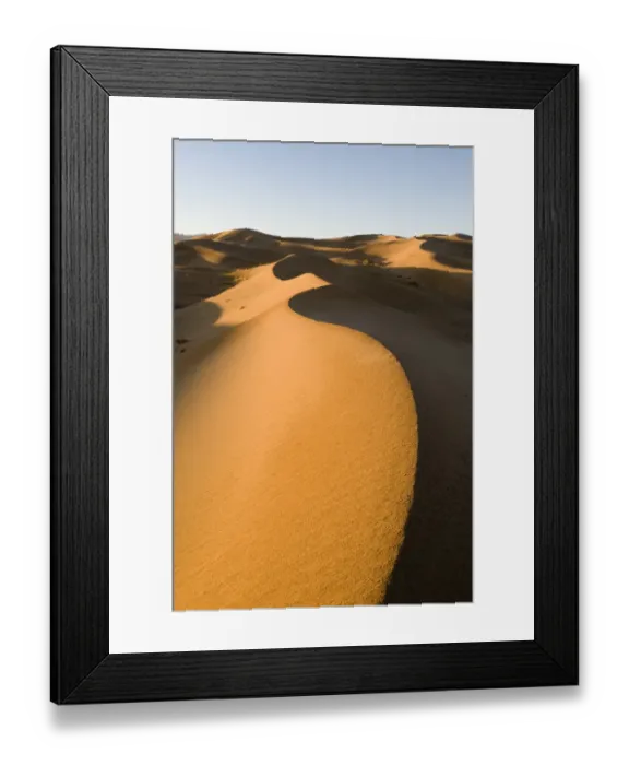 Framed Print : View of sand dunes in desert habitat, Khongoryn Els Sand Dunes, Southern Gobi Desert, Mongolia, october Framed Print : View of sand dunes in desert habitat, Khongoryn Els Sand Dunes, Southern Gobi Desert, Mongolia, october