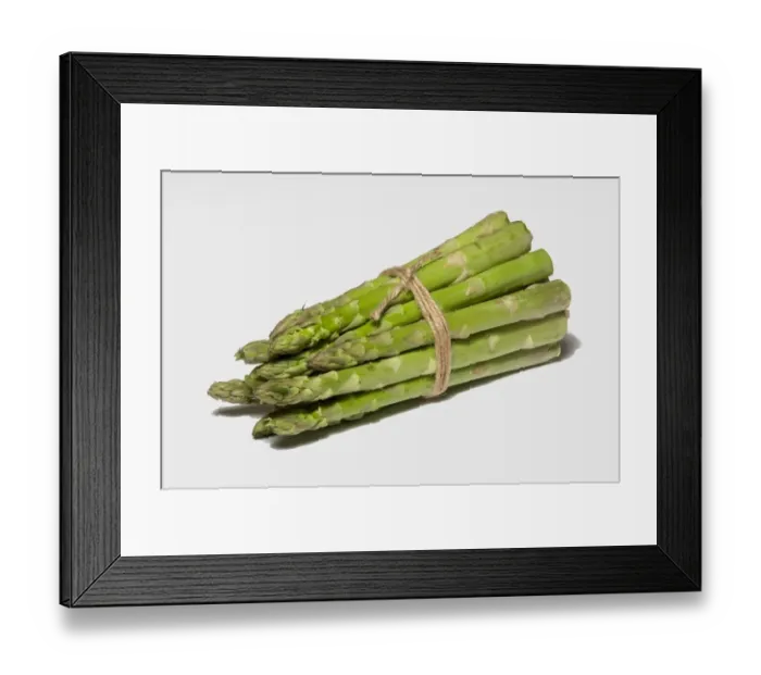 Framed Print : Asparagus (Asparagus officinalis) bundle of cut spears Framed Print : Asparagus (Asparagus officinalis) bundle of cut spears