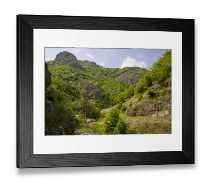 Framed Print : View of botanically-rich protected area, with Oriental Hornbeam (Carpinus orientalis) and Manna Ash (Fraxinus ornus) Framed Print : View of botanically-rich protected area, with Oriental Hornbeam (Carpinus orientalis) and Manna Ash (Fraxinus ornus)