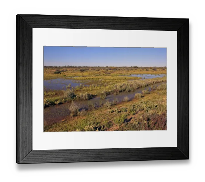 Framed Print : View of desert habitat after rainfall, Sturt N. P. New South Wales, Australia Framed Print : View of desert habitat after rainfall, Sturt N. P. New South Wales, Australia