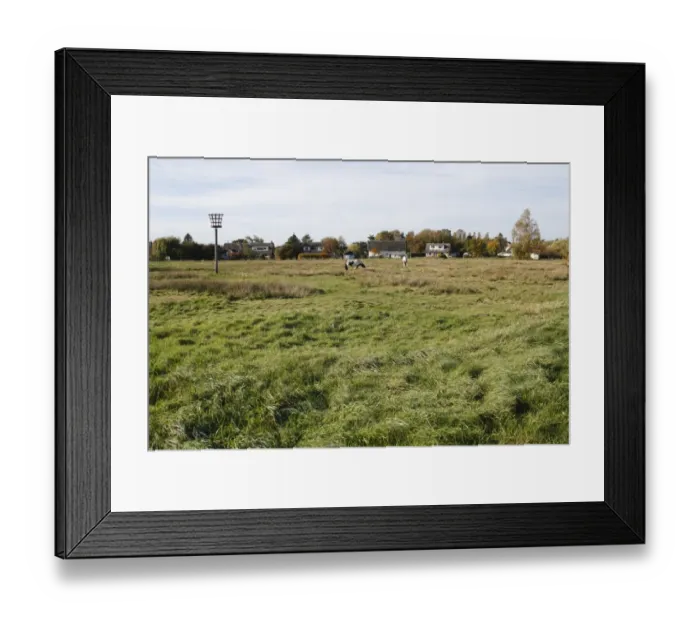 Framed Print : View of commonland with grazing horses and armada beacon, Wortham, Suffolk, England, october Framed Print : View of commonland with grazing horses and armada beacon, Wortham, Suffolk, England, october