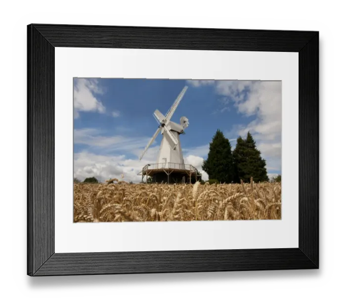 Framed Print : View of smock mill and wheat field, Woodchurch Windmill, Kent, England, july Framed Print : View of smock mill and wheat field, Woodchurch Windmill, Kent, England, july