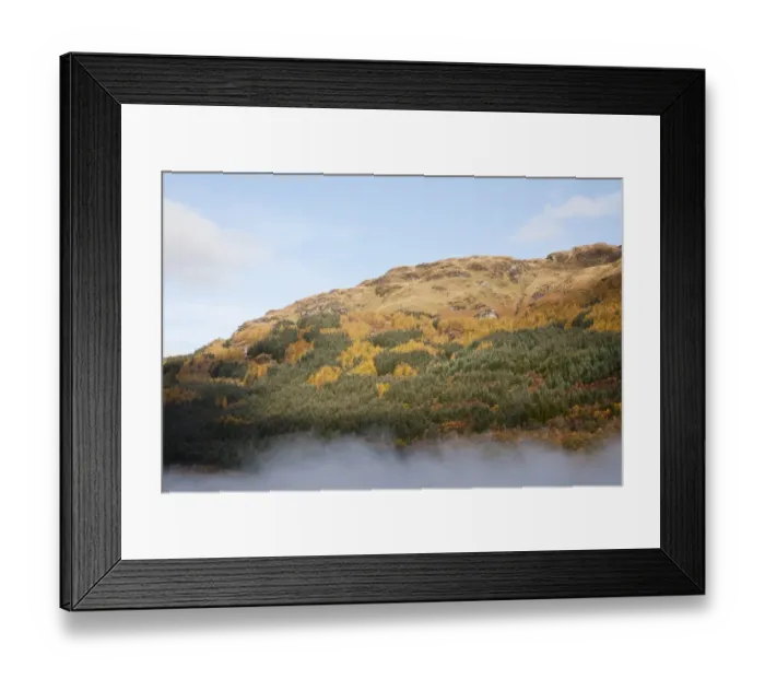 Framed Print : View of hill slopes forested with larch and spruce trees in mist, Loch Lomond, Argyll and Bute, Scotland, october Framed Print : View of hill slopes forested with larch and spruce trees in mist, Loch Lomond, Argyll and Bute, Scotland, october