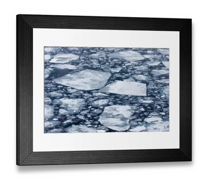 Framed Print : Broken pack ice, brash ice at sea, Weddell Sea, Antarctica, november Framed Print : Broken pack ice, brash ice at sea, Weddell Sea, Antarctica, november
