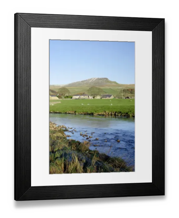 Framed Print : View of river and fell, River Ribble, Pen-y-ghent in distance, Horton-in-Ribblesdale, Ribblesdale, Yorkshire Dales N. P Framed Print : View of river and fell, River Ribble, Pen-y-ghent in distance, Horton-in-Ribblesdale, Ribblesdale, Yorkshire Dales N. P