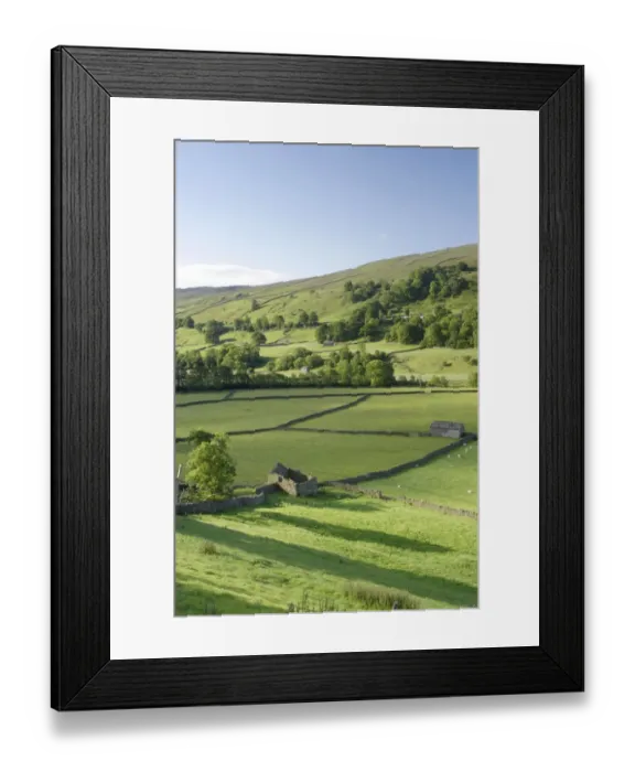 Framed Print : View of drystone walls, stone barns and sheep grazing in pasture of river valley, Gunnerside, Swaledale Framed Print : View of drystone walls, stone barns and sheep grazing in pasture of river valley, Gunnerside, Swaledale