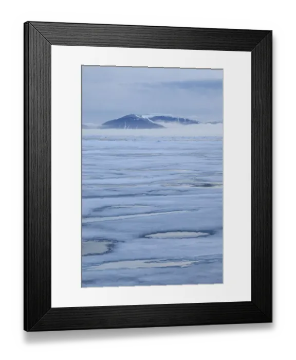 Framed Print : View of coastal ice floes, with fog covered mountains in background, Spitsbergen, Svalbard, september Framed Print : View of coastal ice floes, with fog covered mountains in background, Spitsbergen, Svalbard, september