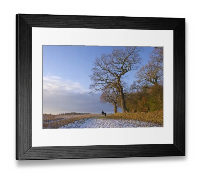 Framed Print : Mother and son walking on snow beside bare trees at edge of farmland, Norfolk, England, december Framed Print : Mother and son walking on snow beside bare trees at edge of farmland, Norfolk, England, december