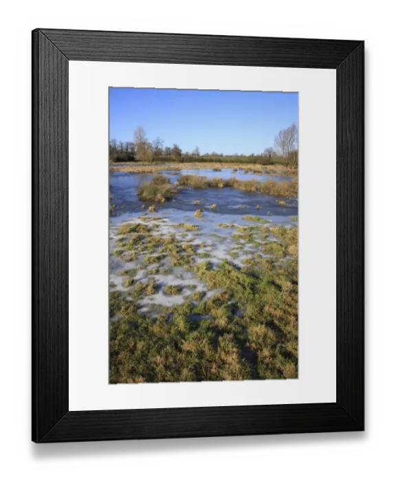 Framed Print : Flooded and frozen unimproved wet grazing meadow, River Dove, Thornham Magna, Suffolk, England, january Framed Print : Flooded and frozen unimproved wet grazing meadow, River Dove, Thornham Magna, Suffolk, England, january